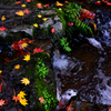水の流れと秋色
