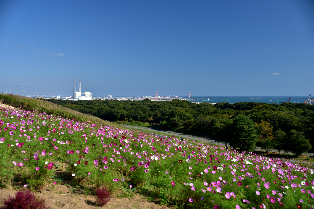 海が見える丘