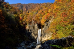 紅黄の宴