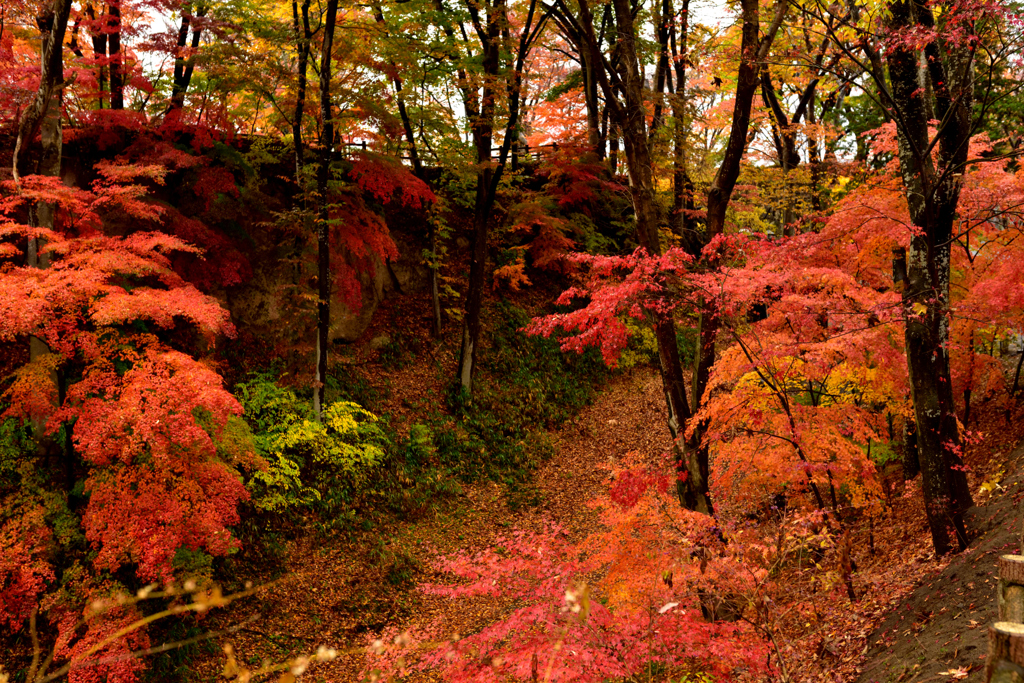 紅葉の谷