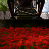 Under the bridge2