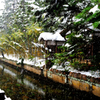 雪国の冬２