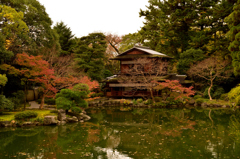 九條池と拾翠亭