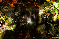 水の流れと秋の色
