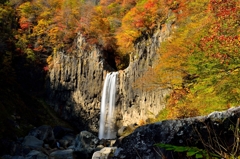 紅葉の帽子