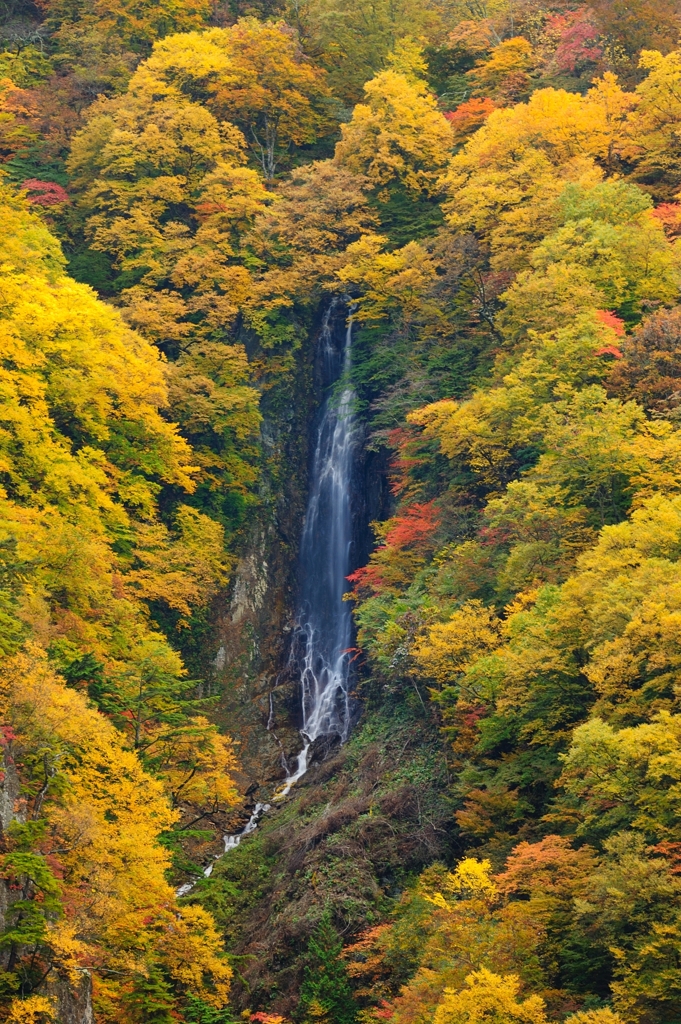 ２０１１紅葉松川渓谷八滝２