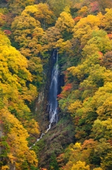 ２０１１紅葉松川渓谷八滝２