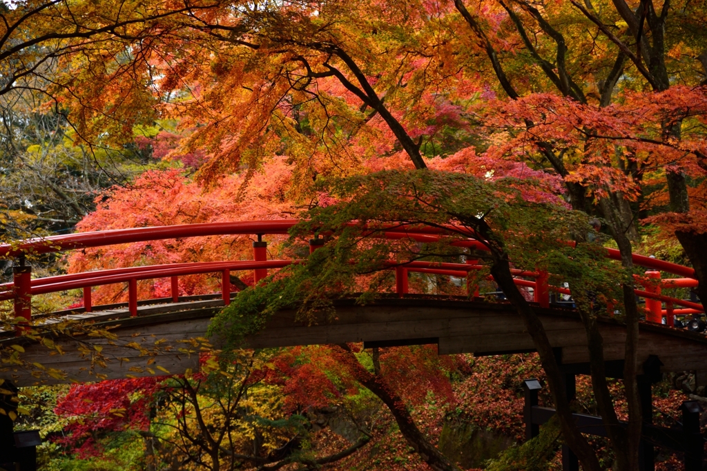 河鹿橋にて