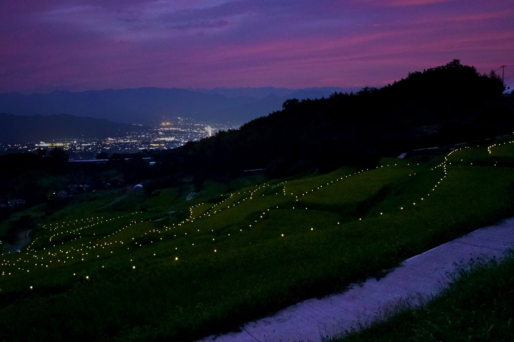 棚田の夕暮れ３