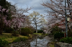 池の辺