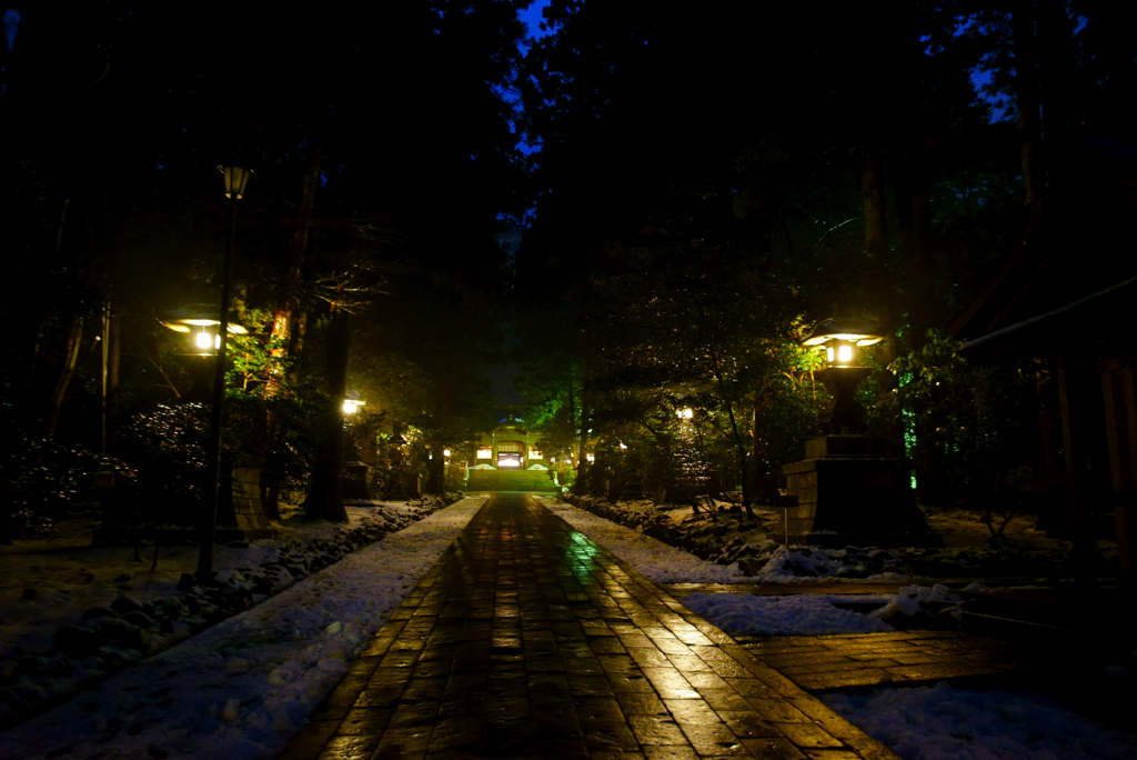 冬の宵の弥彦神社１