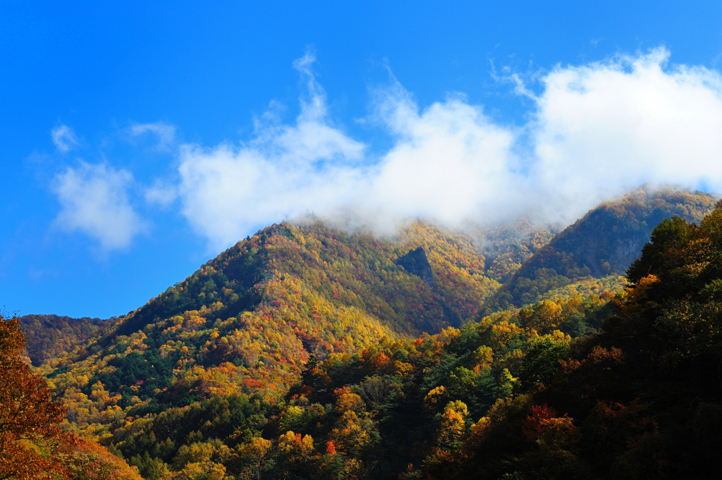 ２０１１紅葉松川渓谷１