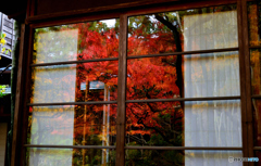 ガラスに映る秋１