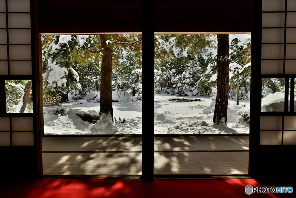雪の日の木漏れ日