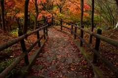 どこに続く秋の階段