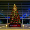 街はChristmasの彩り１
