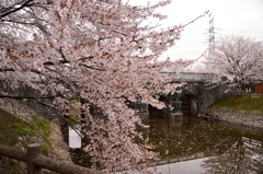 加治川治水公園１