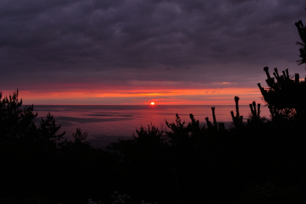 6月23日夕日