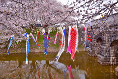 子らへの気持ちと愛でる花