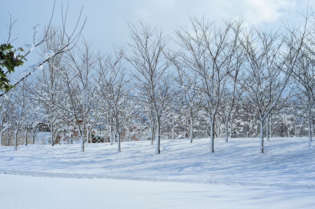 雪の中での整列