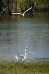 ちょっとまってよ～