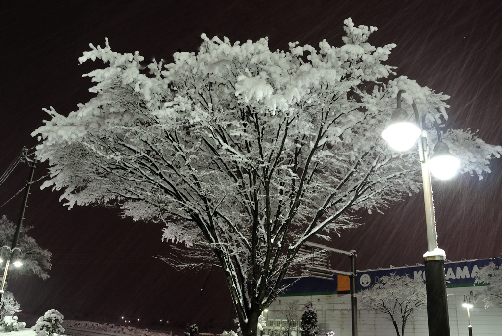 今夜雪深深と１