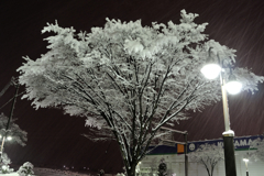今夜雪深深と１