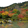 曹源池庭園