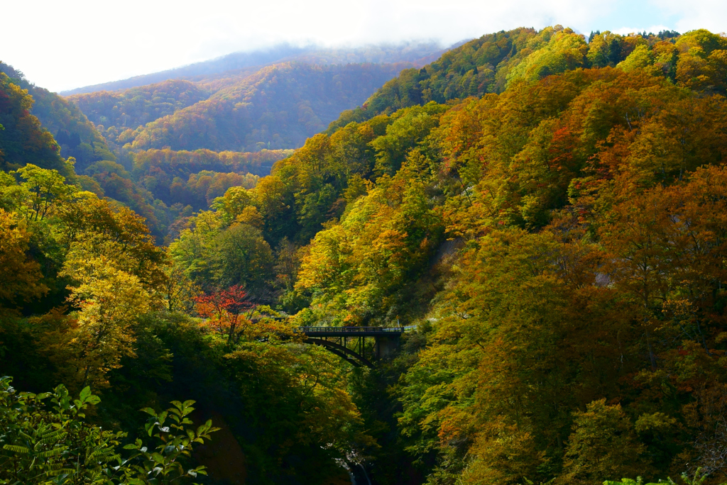 関温泉の紅葉