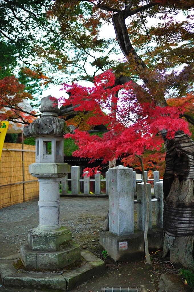 今年2番の赤