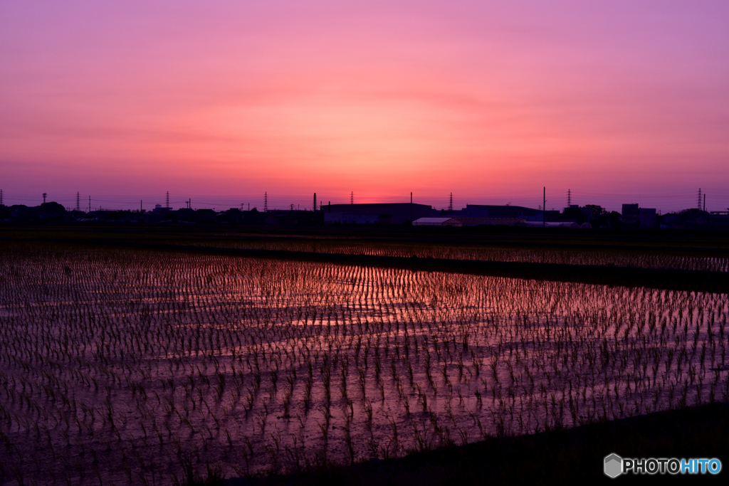 今日の夕焼け～日の入り直後