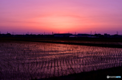 今日の夕焼け～日の入り直後