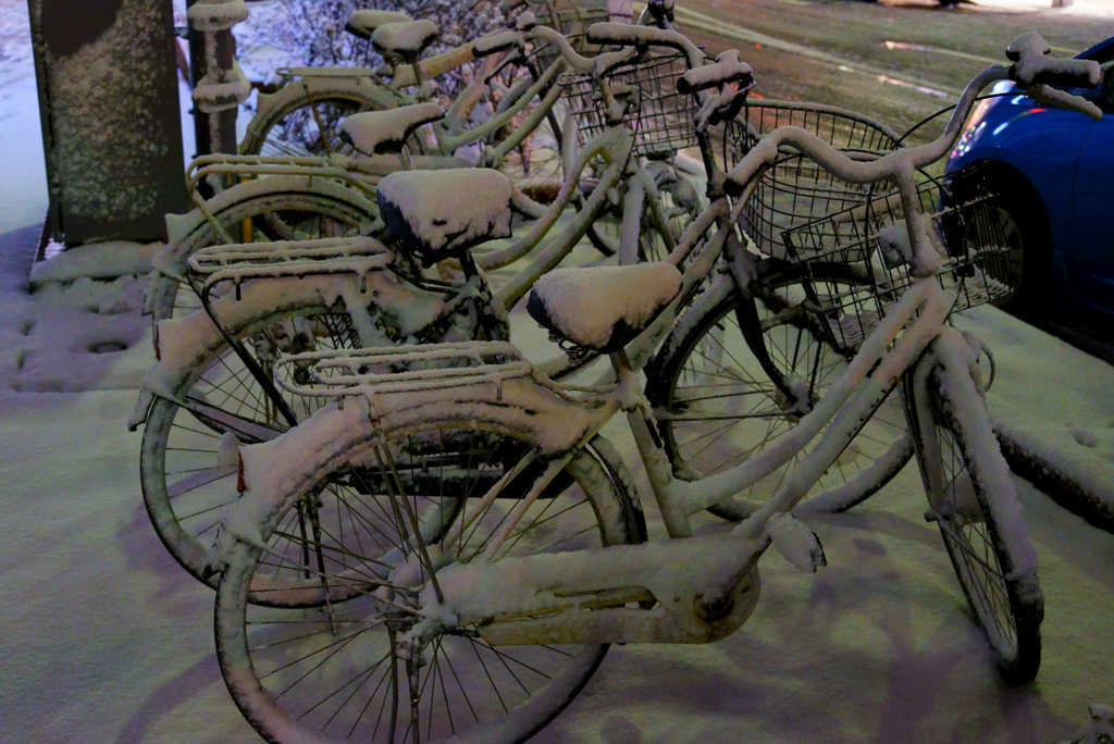 寂しそうな自転車