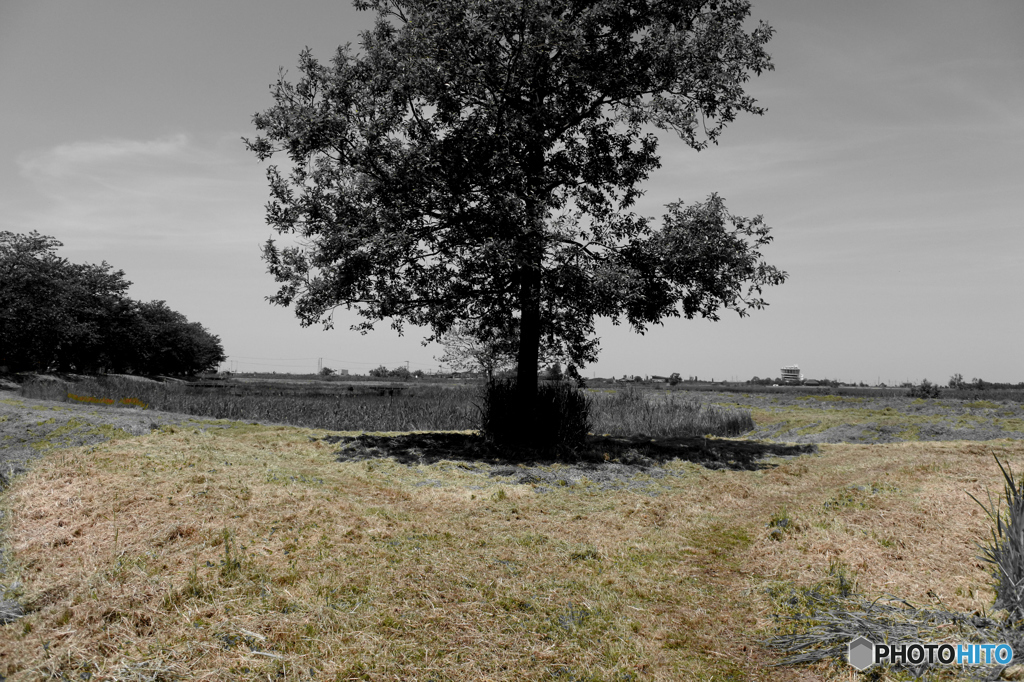 ある昔の記憶２