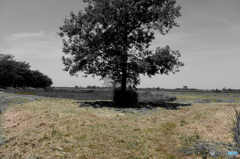 ある昔の記憶２