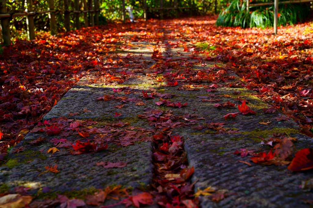 石畳を染めゆく秋