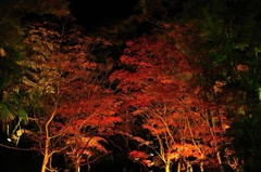 松雲山荘入り口