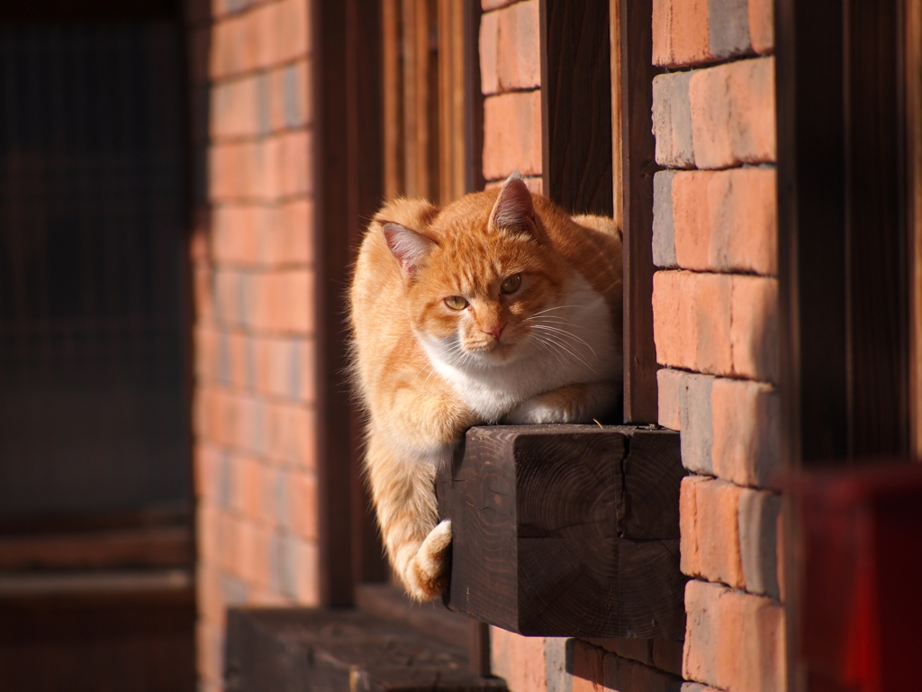 なんだよ、じゃますんな