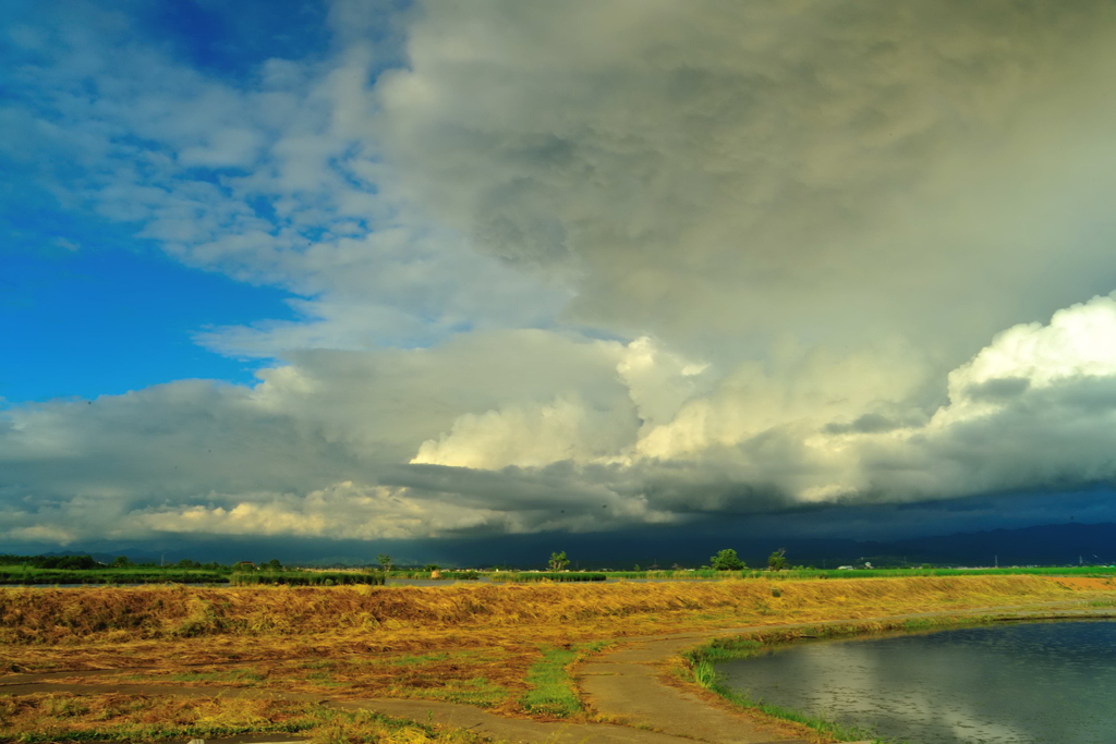 夏雲