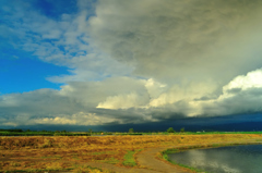 夏雲