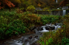 舟尾滝の秋４