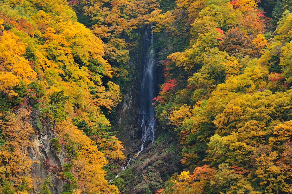 ２０１１紅葉松川渓谷八滝１
