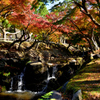 奈良公園