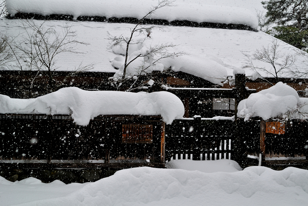 雪国の冬