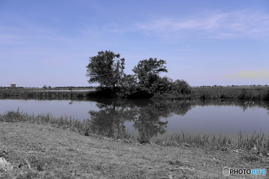 ある昔の記憶１