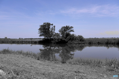 ある昔の記憶１