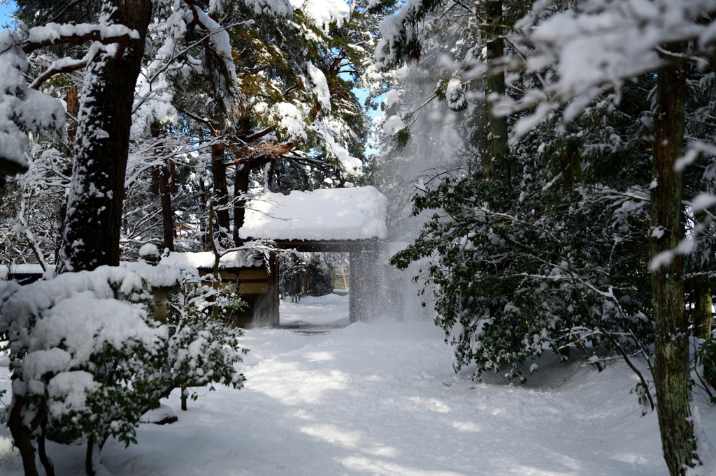 垂り雪