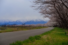 加治川治水公園２