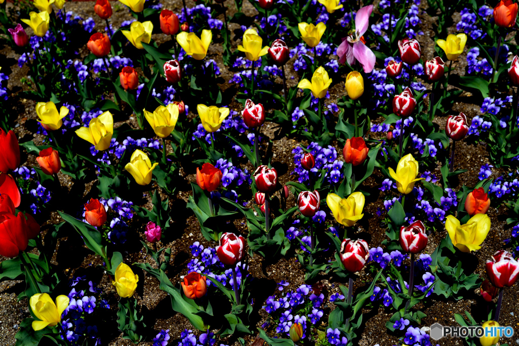 It's colorful1