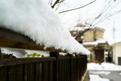 雪が止んだら